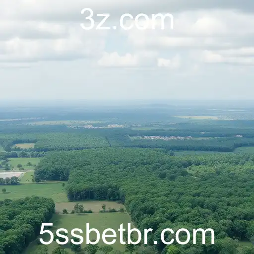 Expansão e Desafios da 5SSBET no Mercado de Jogos